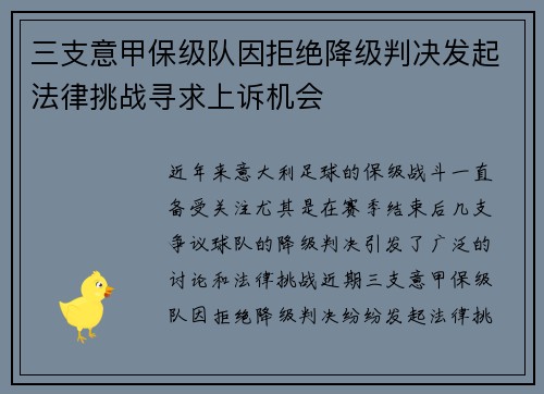 三支意甲保级队因拒绝降级判决发起法律挑战寻求上诉机会