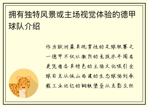 拥有独特风景或主场视觉体验的德甲球队介绍